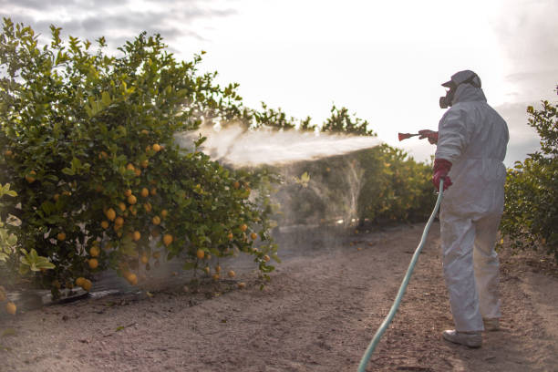 Bird Control in Waterflow, NM