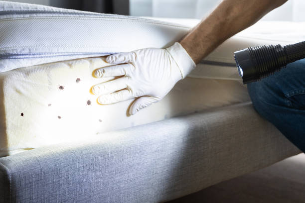 Best Best Pest Control Companies  in Waterflow, NM